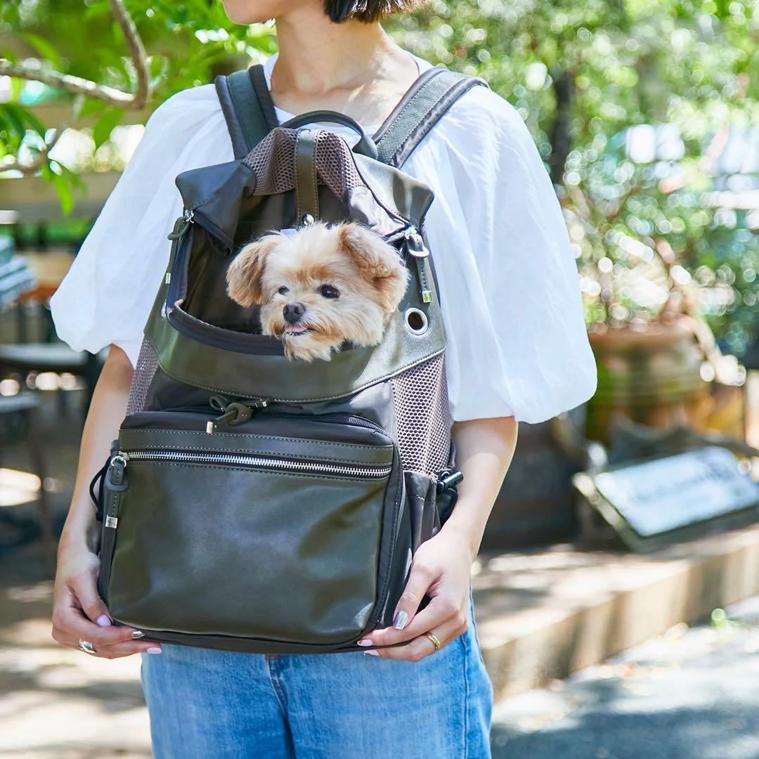 CITYDOG シティドッグ　バックパック　キャリー