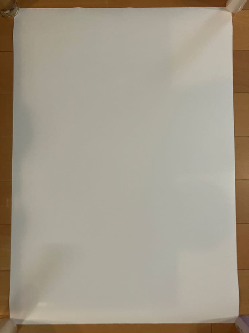 シ*ン様 2点セット 北川景子 KOSE 販促用ポスター Ｂ１コルトン+Ｂ２普通