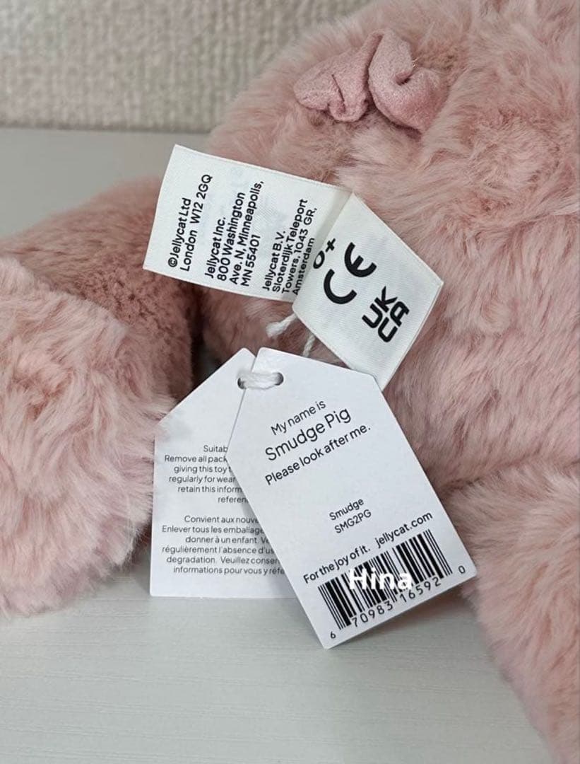  ♡ Smudge Pig