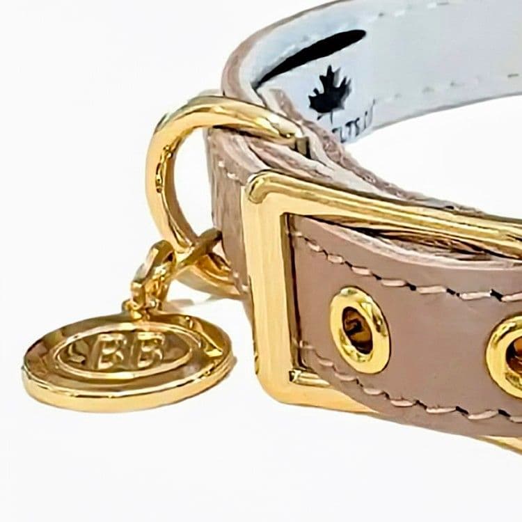 バディーベルト　ハーネス・カラー・リードの3点 バディベルト　BUDDYBELT