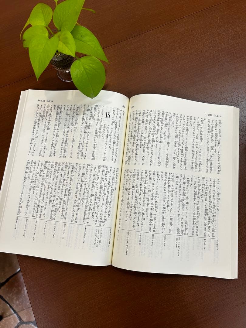 旧約聖書 新改訳 全3巻　特大サイズ