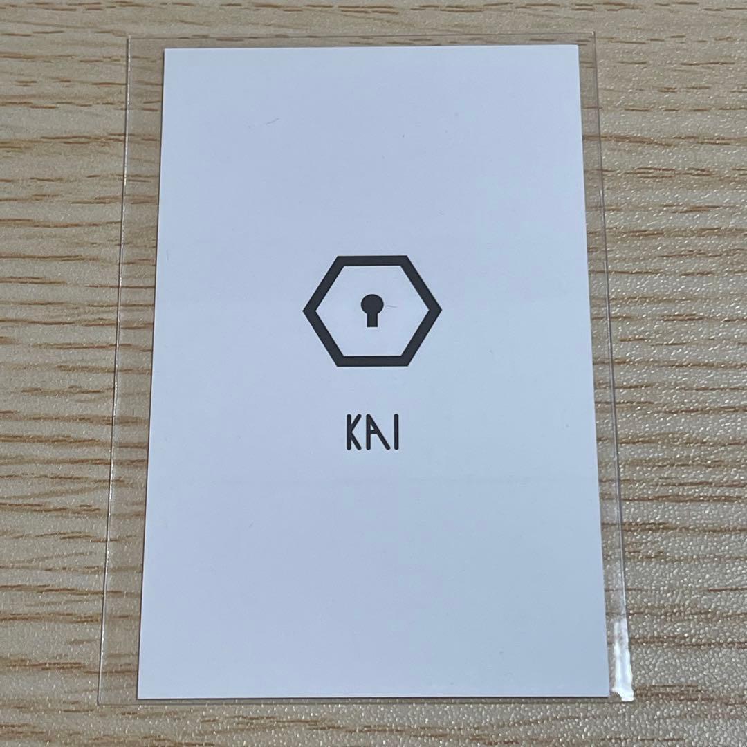 EXO グローバルパッケージ カイ トレカ レア
