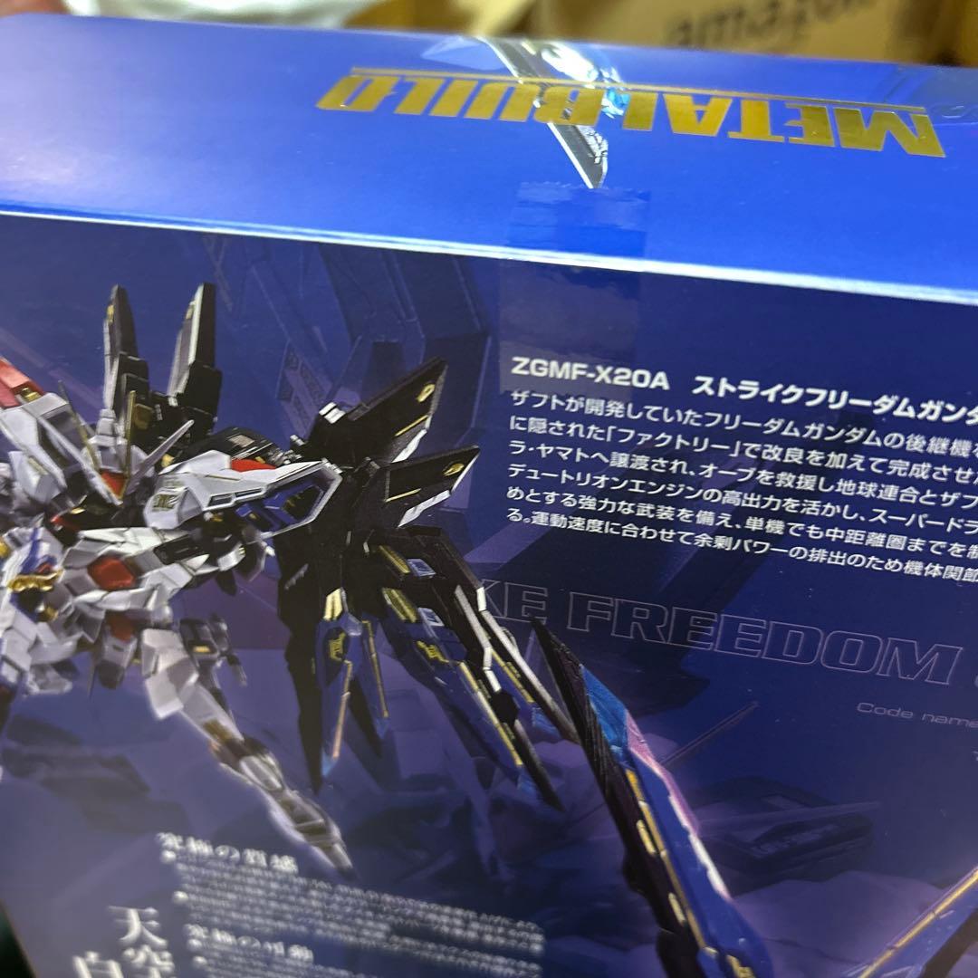 メタルビルド　ストライクフリーダム2024、光の翼