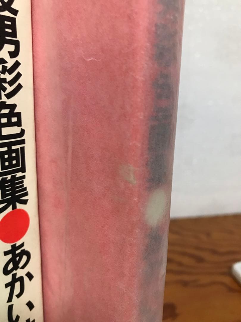 佐伯俊男 彩色画集　緋匤 あかいはこ　函カバー　昭和47年初版第一刷　長友啓典