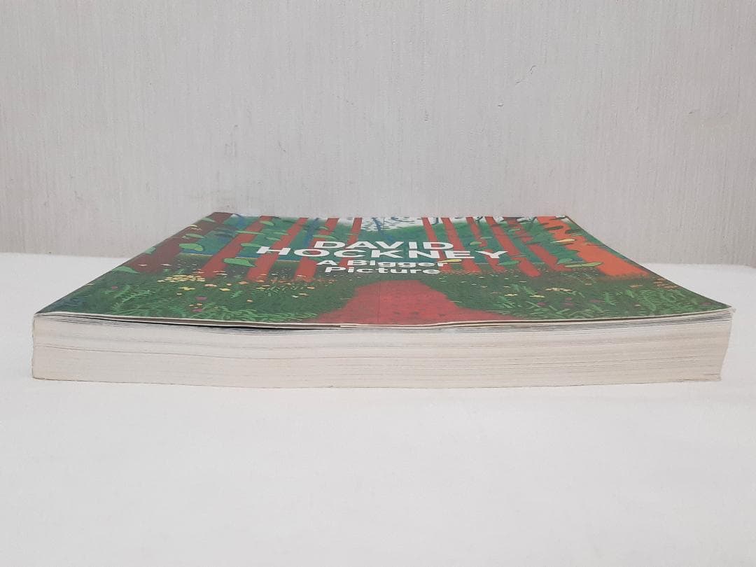 David Hockney A Bigger Picture ホックニー 英語版
