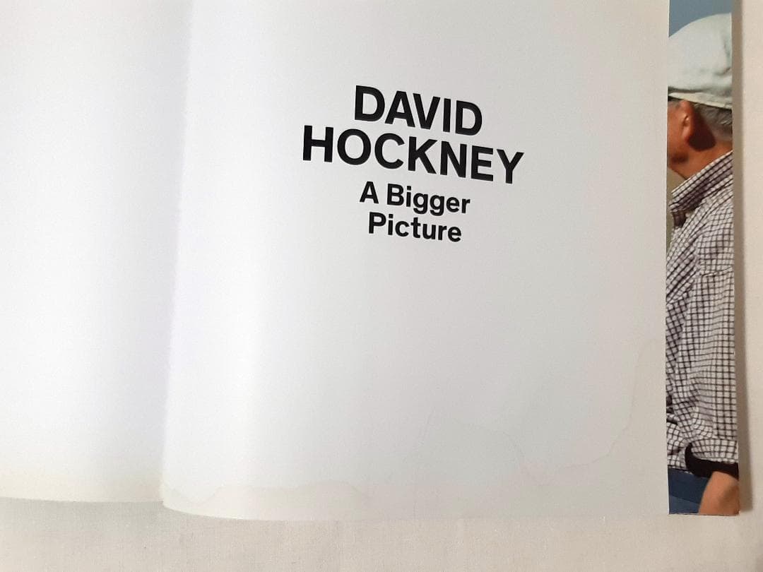 David Hockney A Bigger Picture ホックニー 英語版
