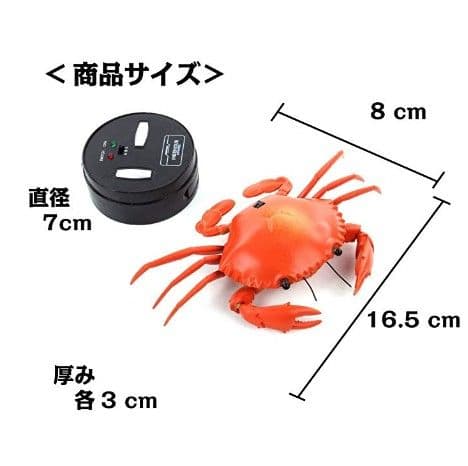 ラジコン さそり& カニ セット
