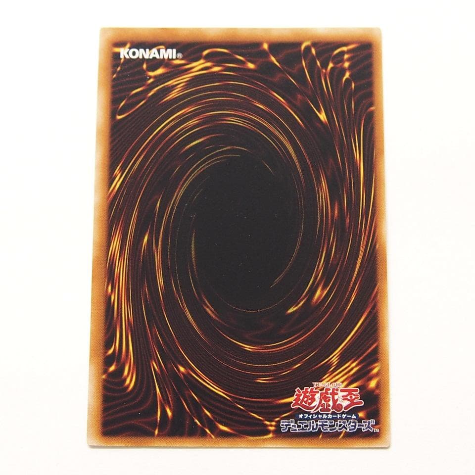 遊戯王 真紅眼の闇竜 レリーフ