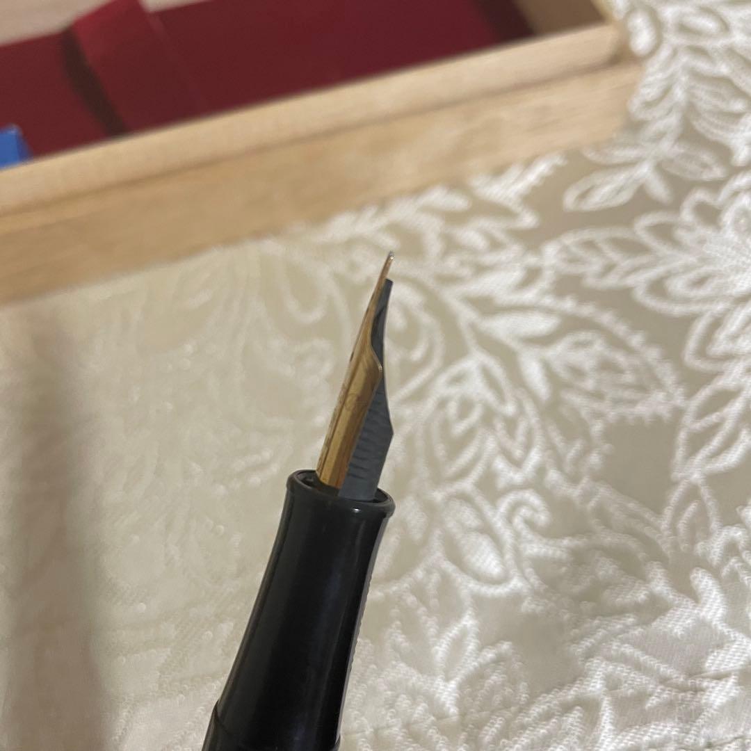 プラチナ万年筆 #3776 蒔絵　牡丹　14K 細 名入