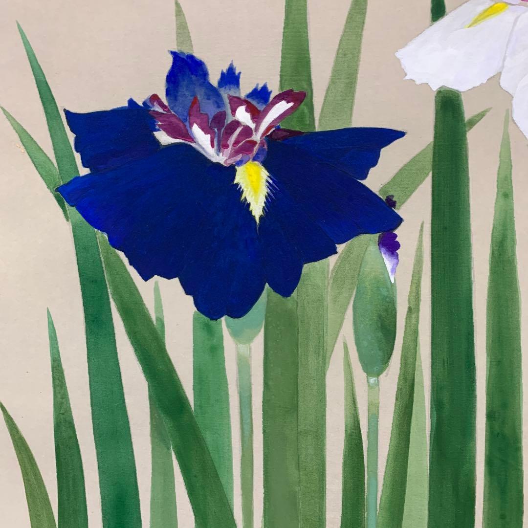 美品 掛け軸 静湖作 菖蒲図 共箱 太巻き付 季節掛け