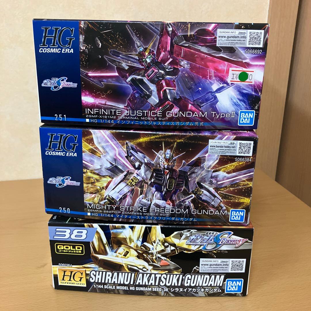 断捨離ガンプラ　1/144 三体　1/100 二体