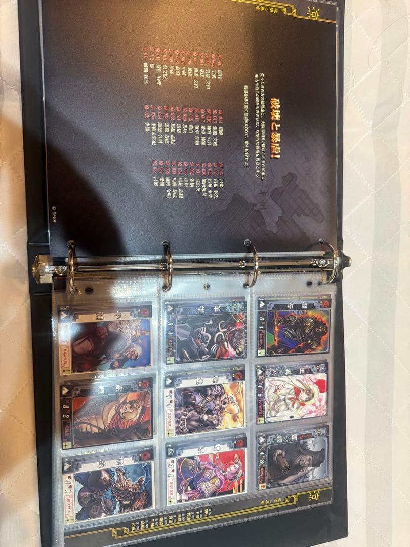 ゴ*ヤ様 三国志大戦2 カードバインダー　カード338枚コンプリート