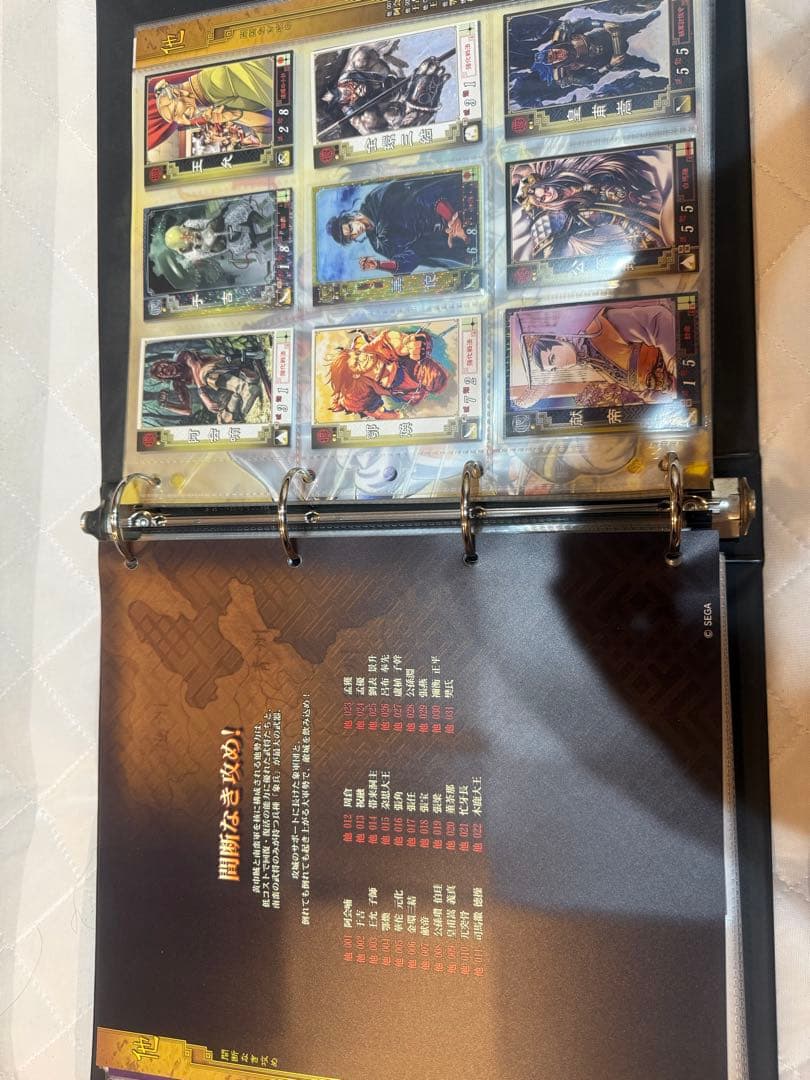 ゴ*ヤ様 三国志大戦2 カードバインダー　カード338枚コンプリート