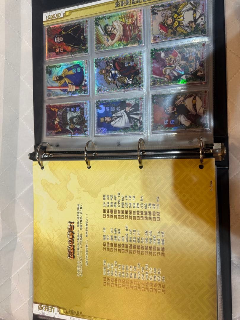 ゴ*ヤ様 三国志大戦2 カードバインダー　カード338枚コンプリート