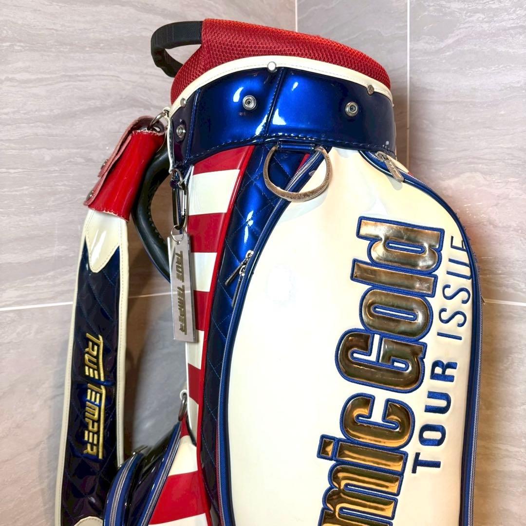 Dynamic Gold TRUE TEMPER ツアーモデル　キャディバッグ