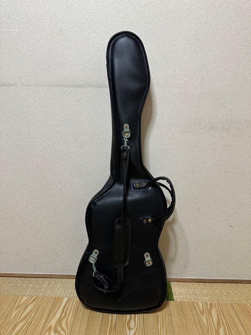 ギター CASIO PG-300