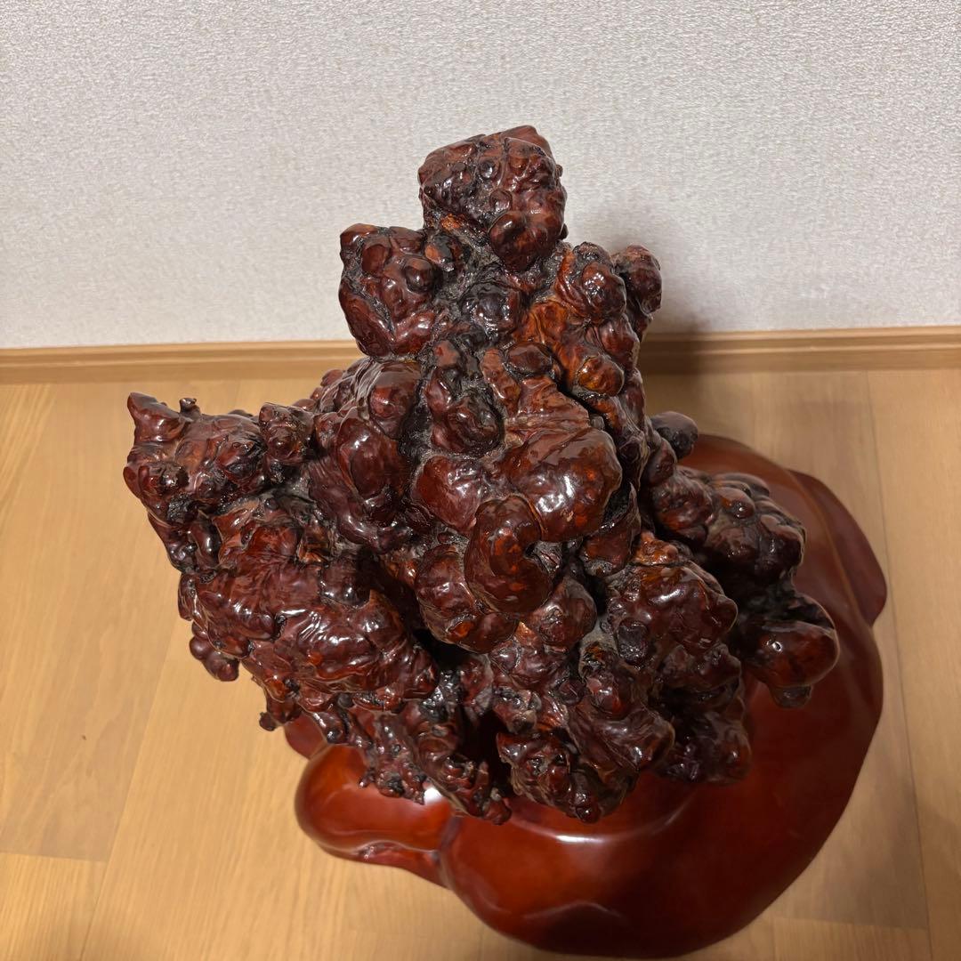 木の瘤　オブジェ　置物　天然木　自然木　木瘤　レア物　異形　インテリア　和風