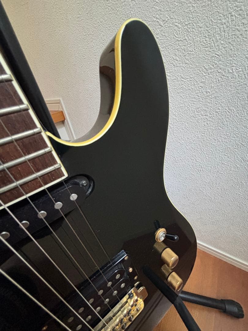 Fernandes フェルナンデス　TEJ 55g 中古