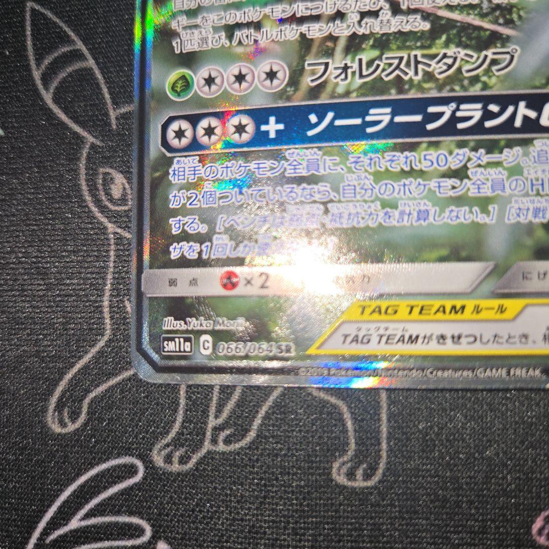 フシギバナ&ツタージャGX SR 066/064