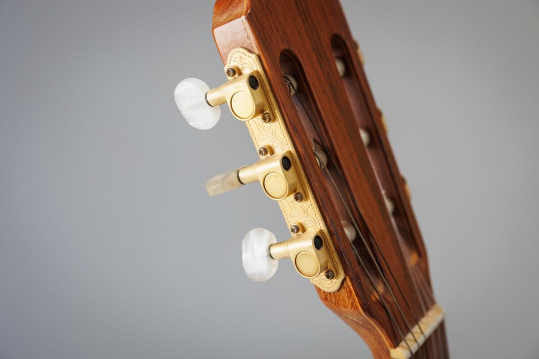 ギター Gibson Chet Atkins CE