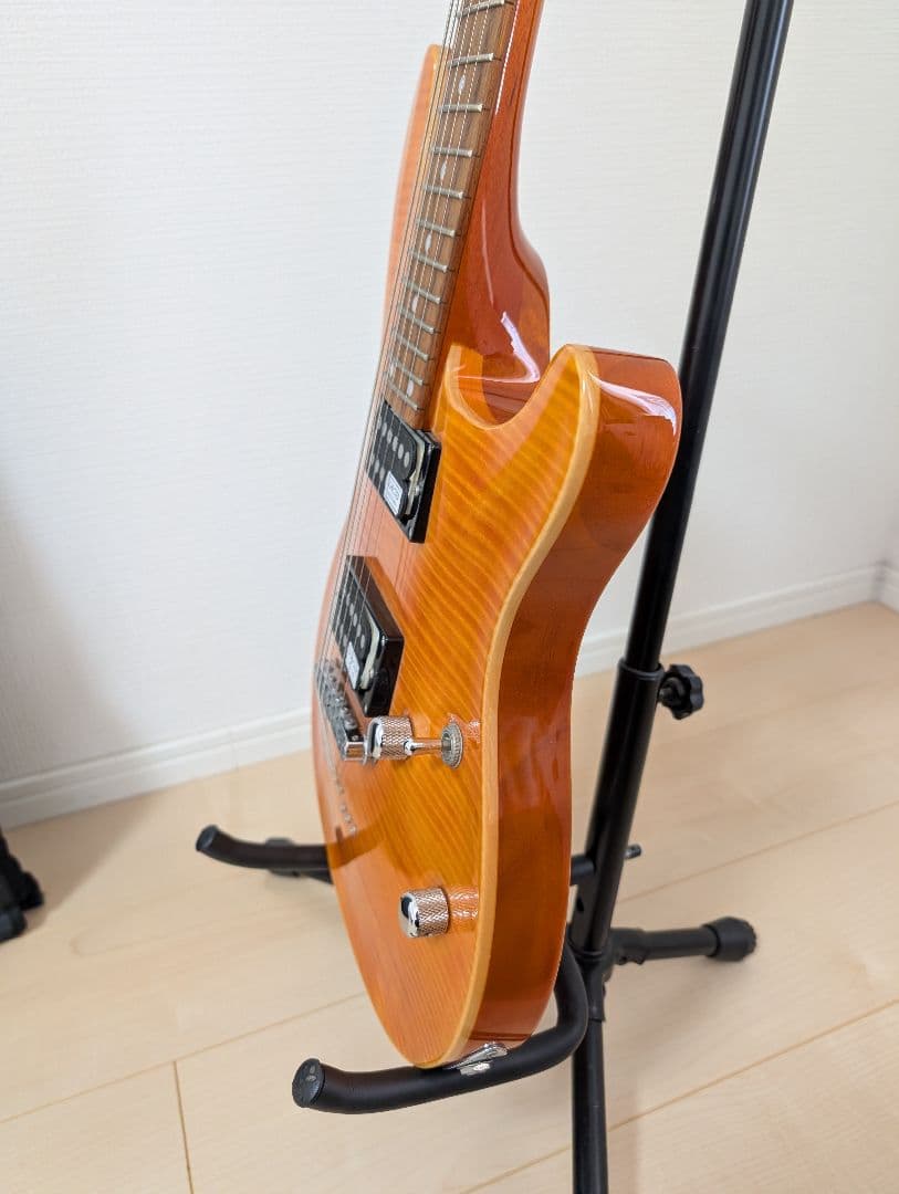 【美品・動作良好】SCHECTER RJ-1-24-TOM AMB　シェクター