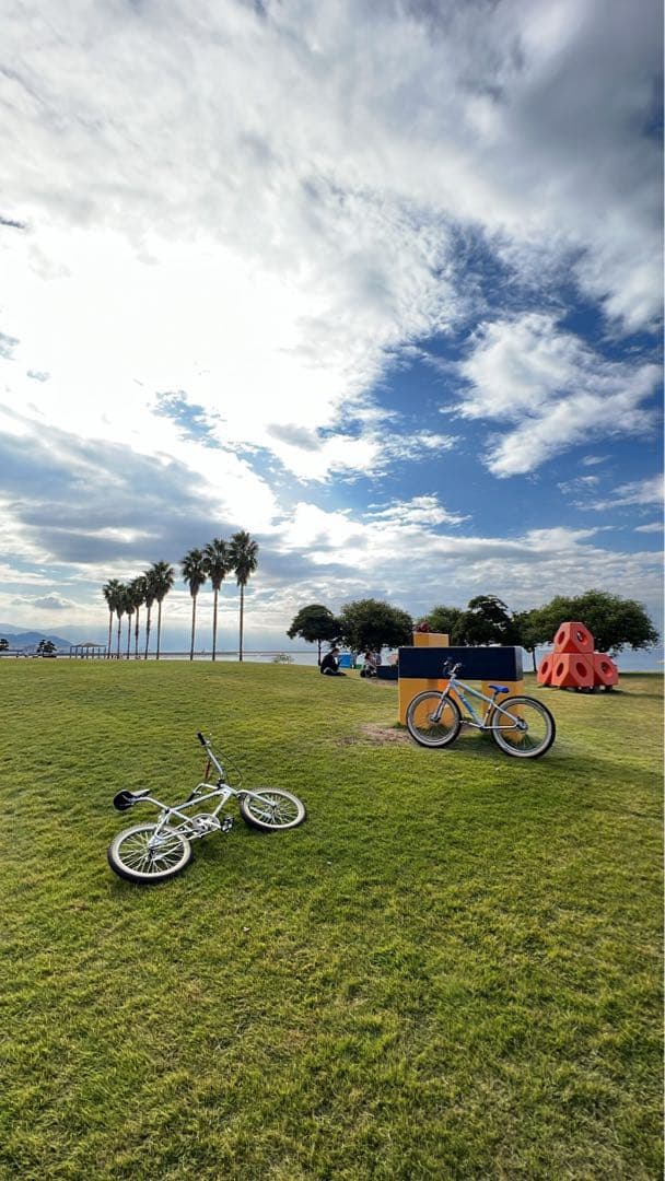 自転車本体 HOW I ROLL THE ROOTS CP