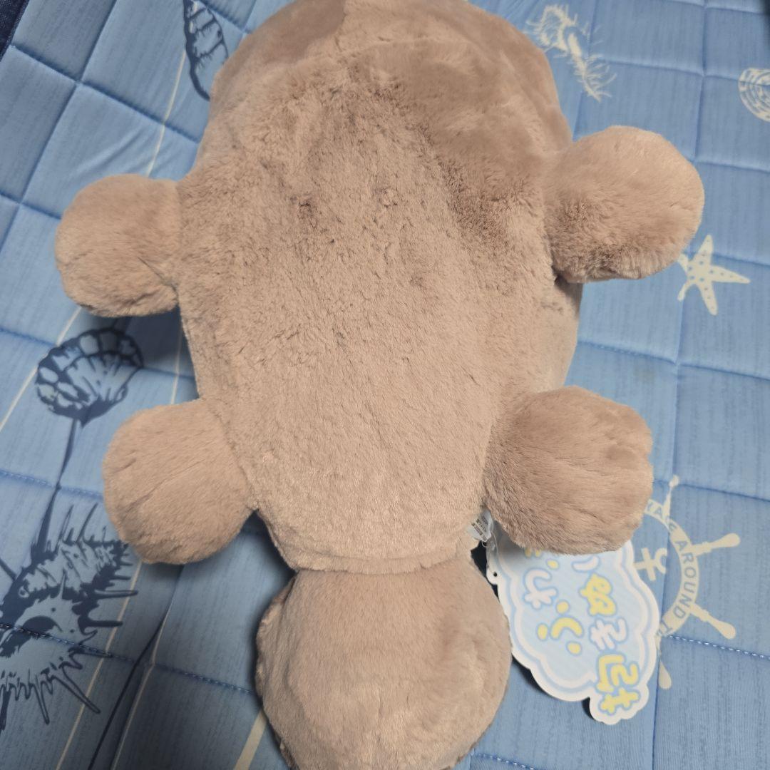 ポケットモンスター ふわふわ抱きぬいぐるみ ドオー ポケモンセンター