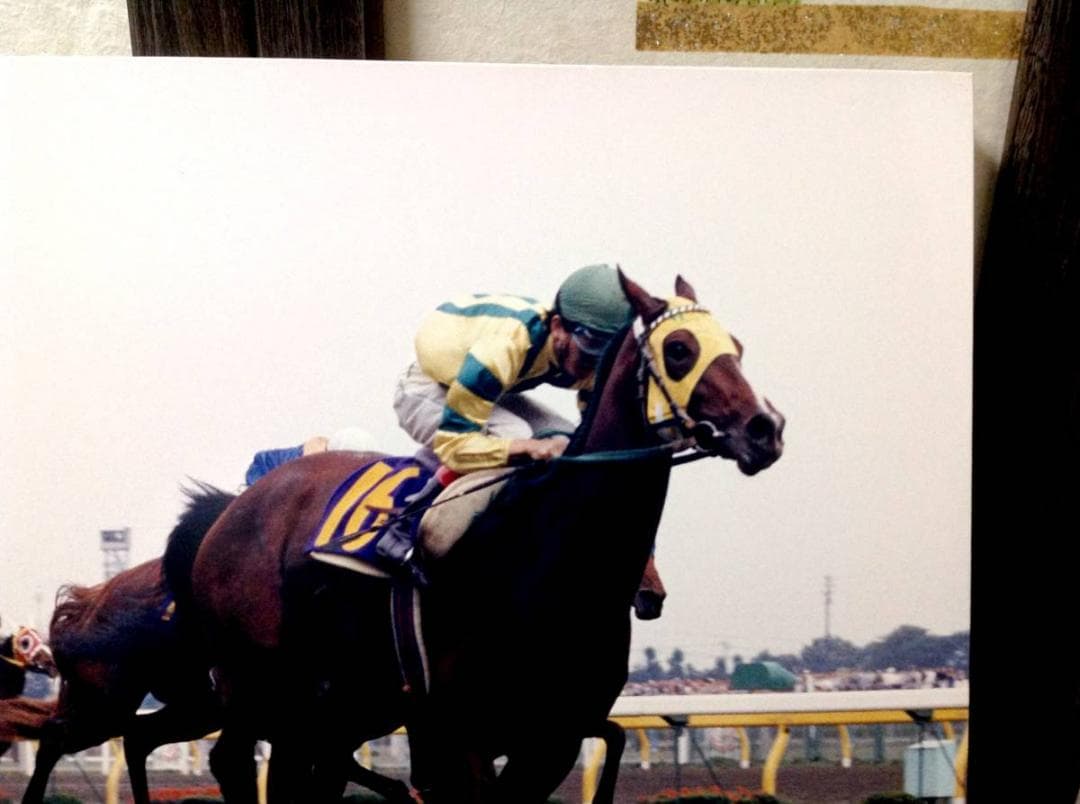 競馬パネル：マックスビューティ「1987年第48回優駿牝馬」