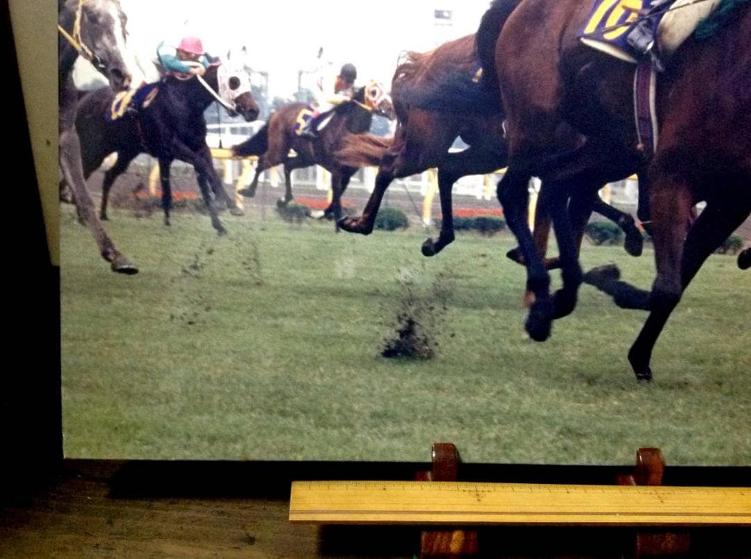 競馬パネル：マックスビューティ「1987年第48回優駿牝馬」
