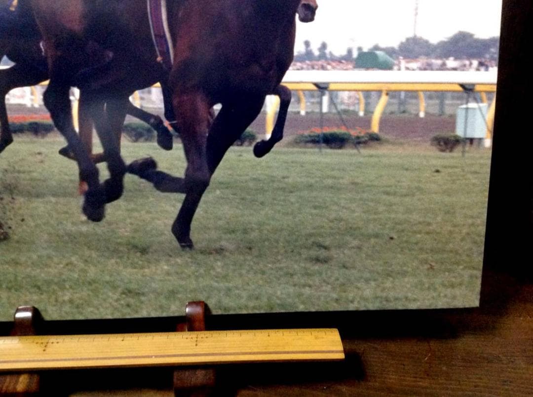 競馬パネル：マックスビューティ「1987年第48回優駿牝馬」
