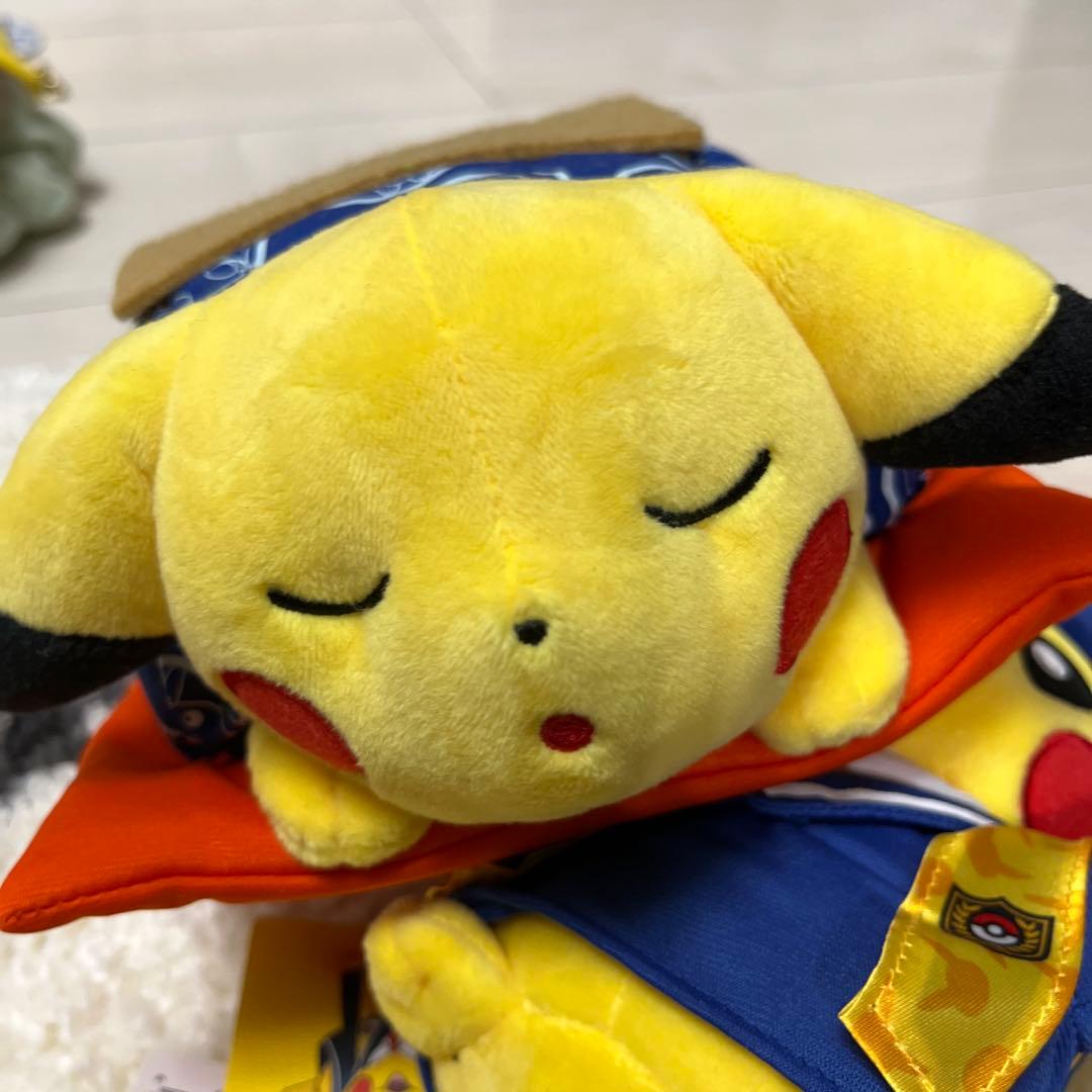 ぬいぐるみ　マンスリーピカチュウ2015、2016 9体セット