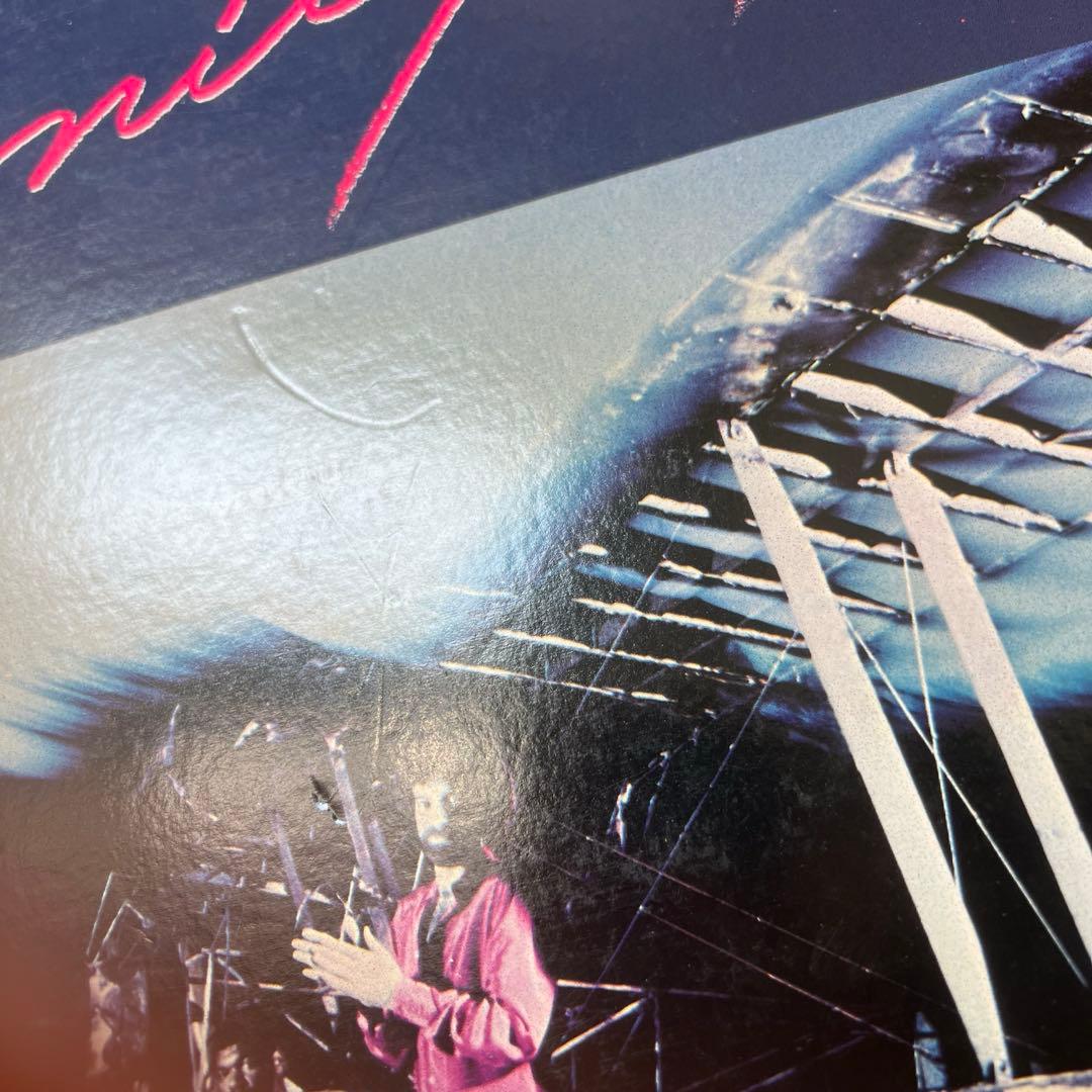 洋楽 NITEFLYTE LP