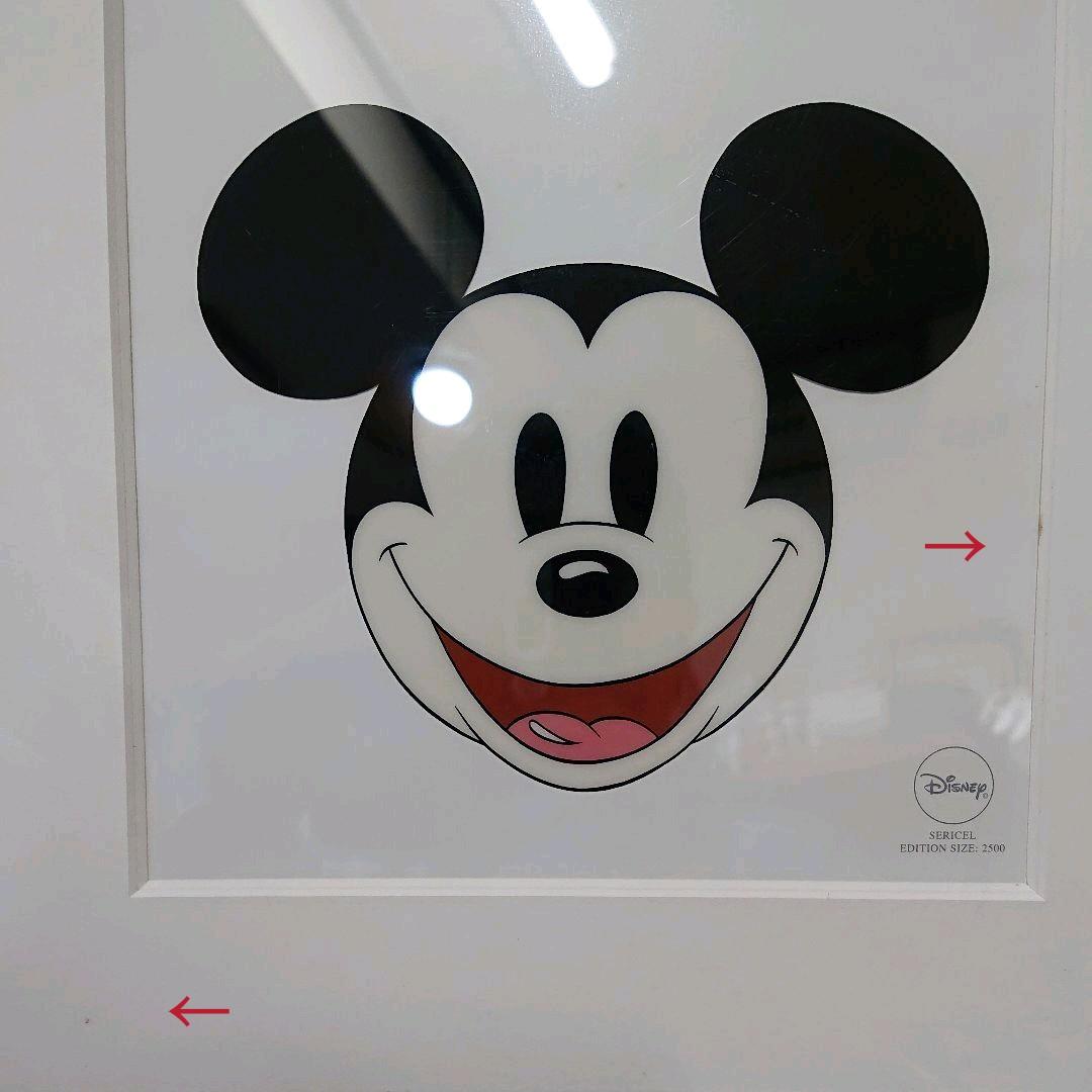☆☆希少☆☆ウォールトディズニー セル画