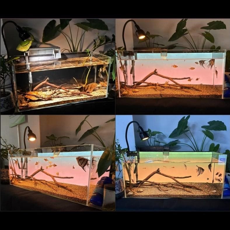 【b2l63】2色カラーLEDライトスクリーン OFF黒 60cm x 36cm
