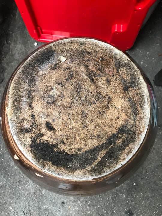 骨董品   壺