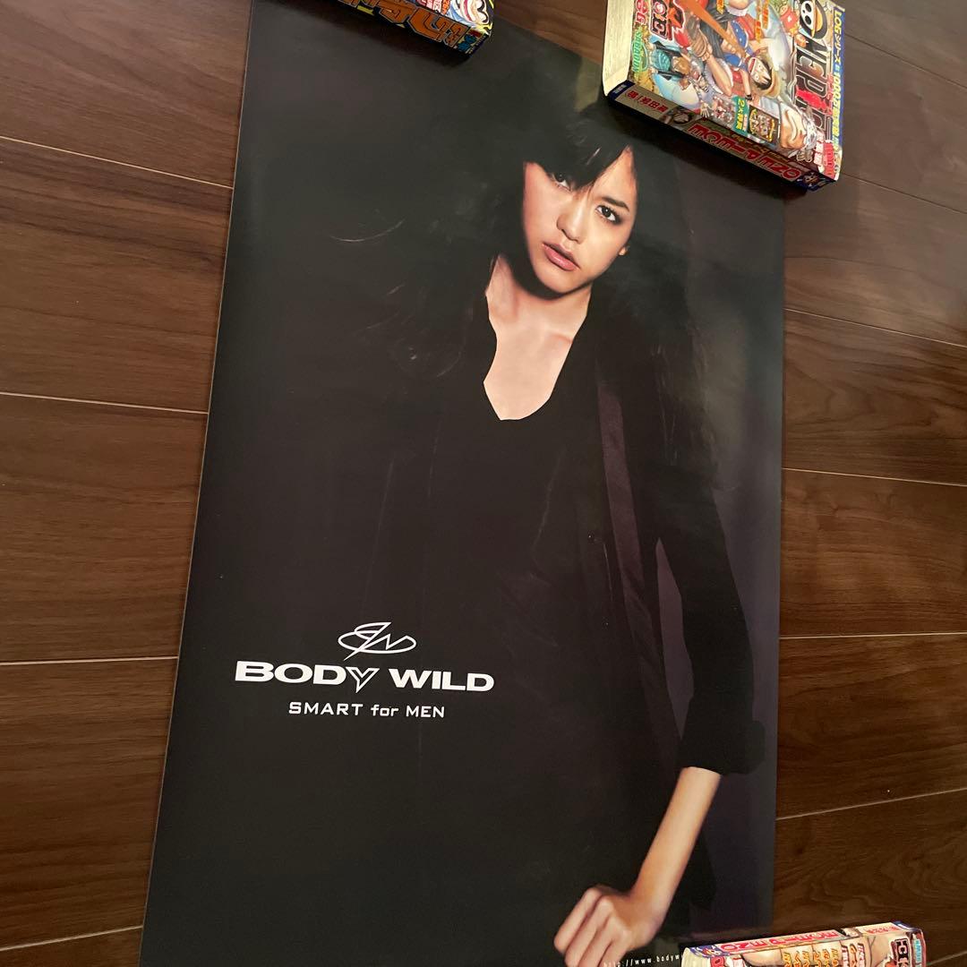 桐谷美玲　BODYWILD B2ポスター