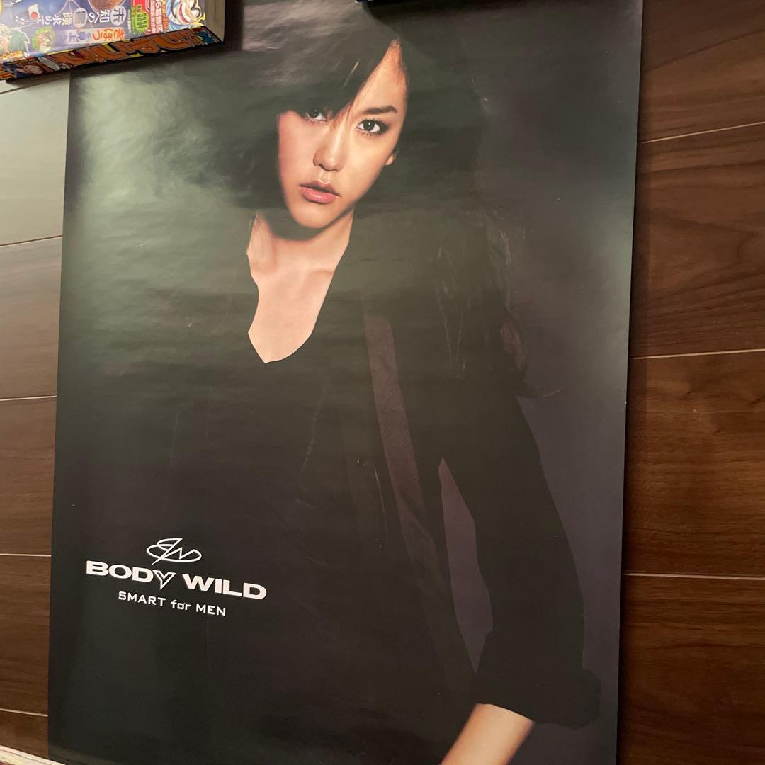 桐谷美玲　BODYWILD B2ポスター