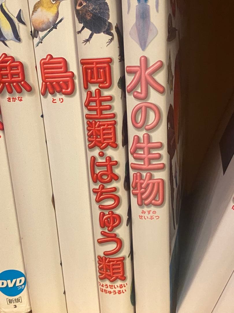 小学館の図鑑 NEO 20冊セットDVD付