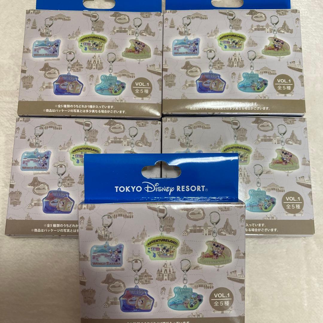 ディズニーリゾート　キーチェーン　ウェアドリームズカムトゥルー