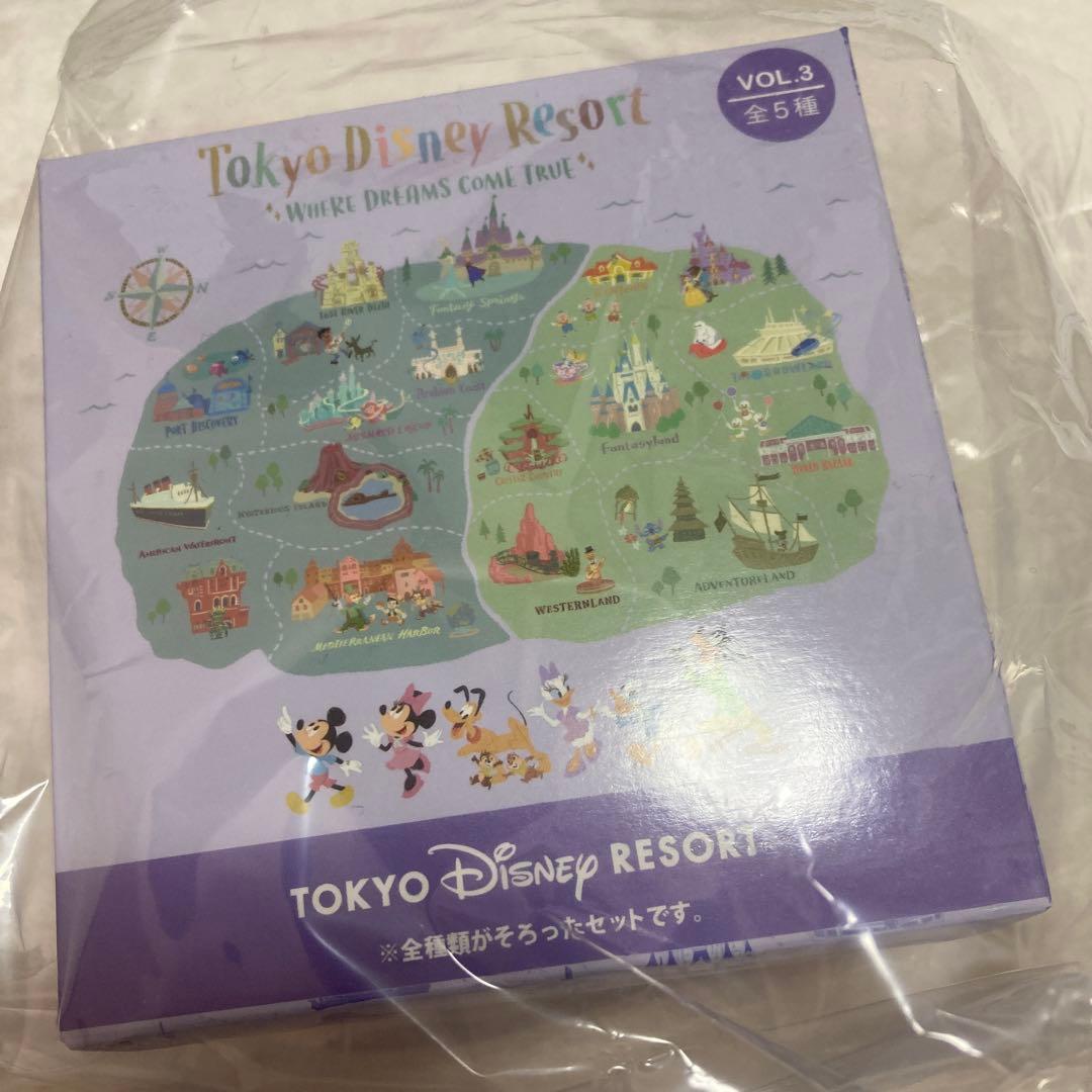 ディズニーリゾート　キーチェーン　ウェアドリームズカムトゥルー