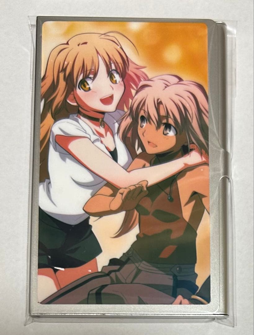 TYPE-MOON 名刺ケース　セット 月姫 CANAAN メルブラ