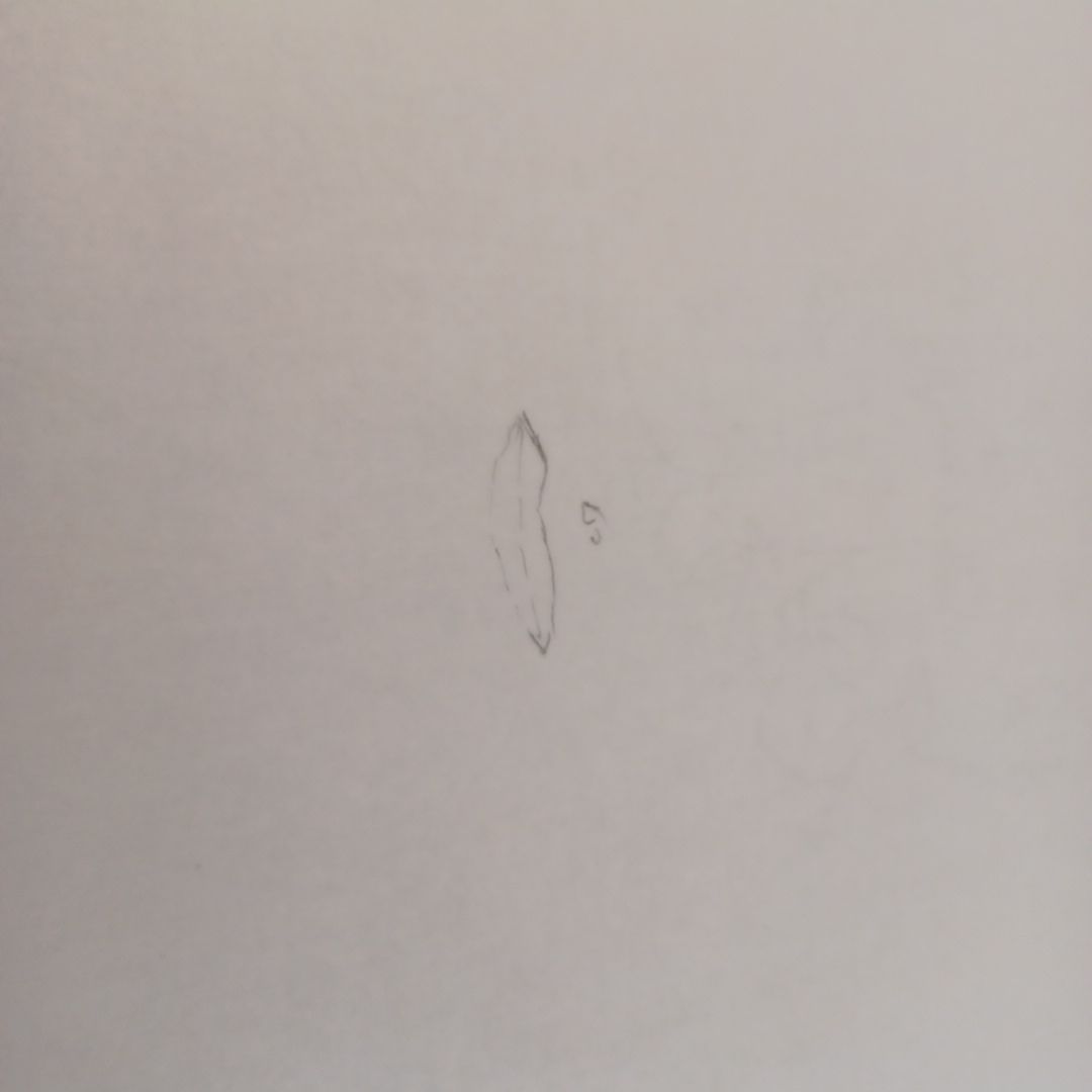 風刺画