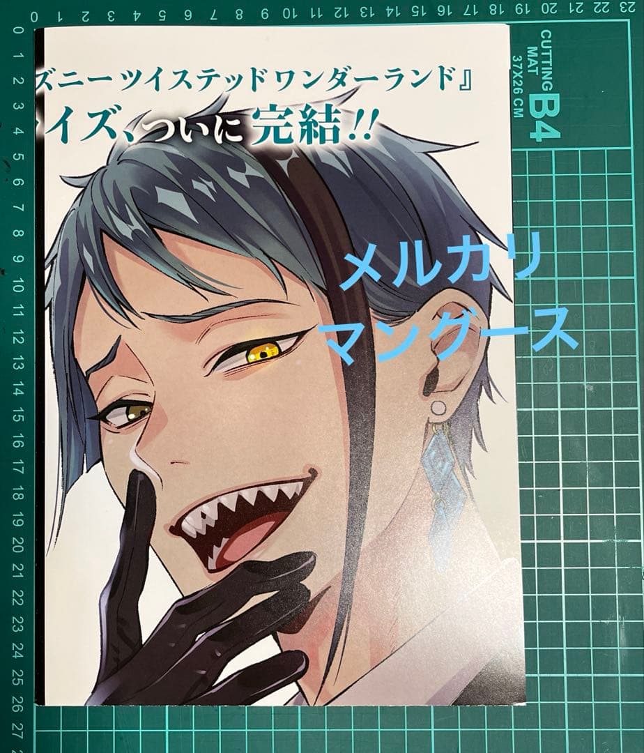 ツイステッドワンダーランド　ポスター3枚