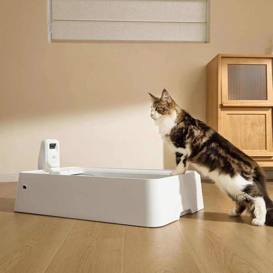 新品⭐️猫の自動トイレ 大型猫・多頭飼い 囲まれてないから慣れるのが早い 開放型