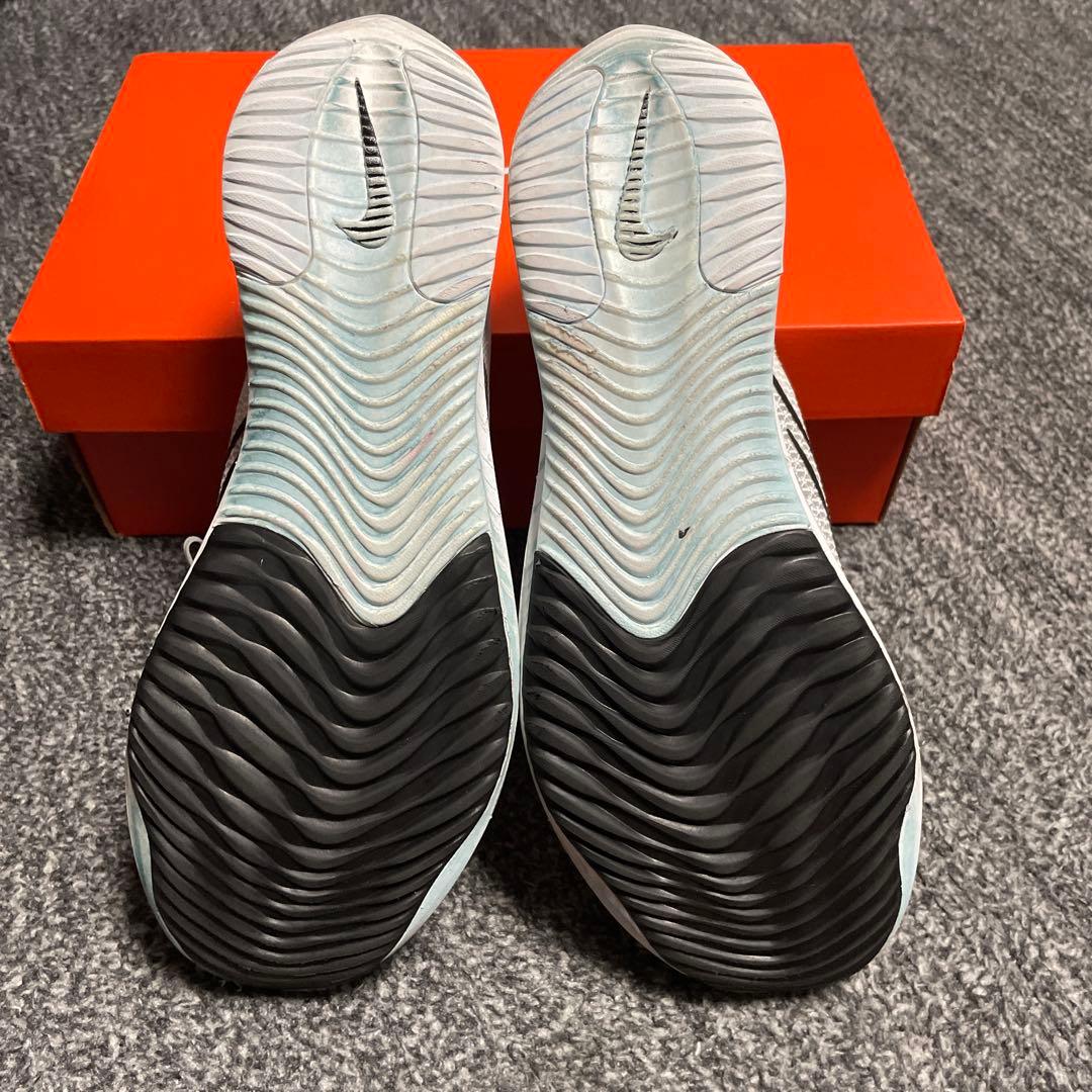 Nike ストリークフライ 27cm