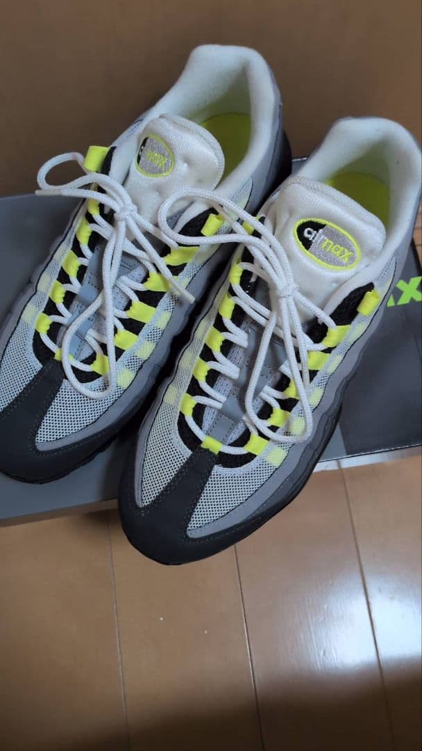 Nike Air Max 95　グラデ　復刻版