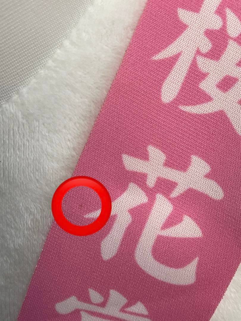 サラブレッドコレクション BIGぬいぐるみ ソダシ