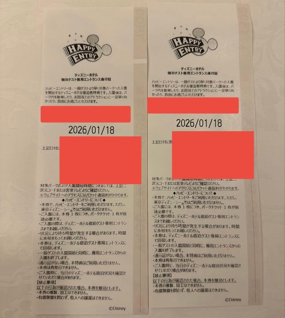 ディズニーランド ハッピーエントリー2枚分
