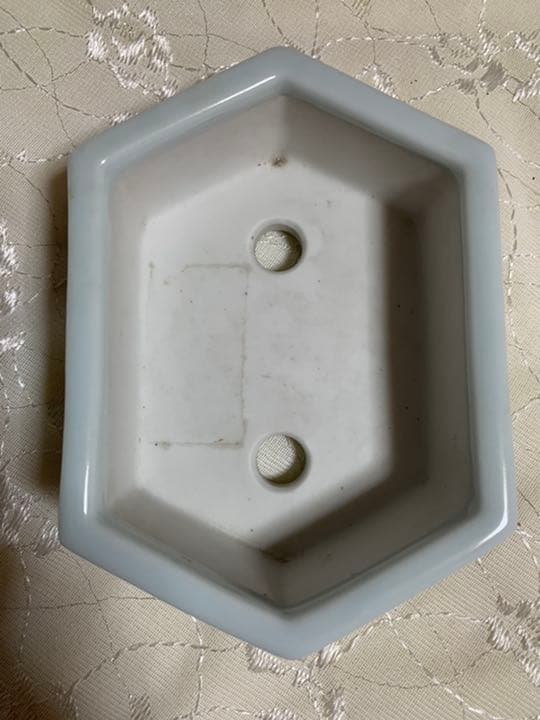 人気鉢！磯山　六角　盆栽鉢
