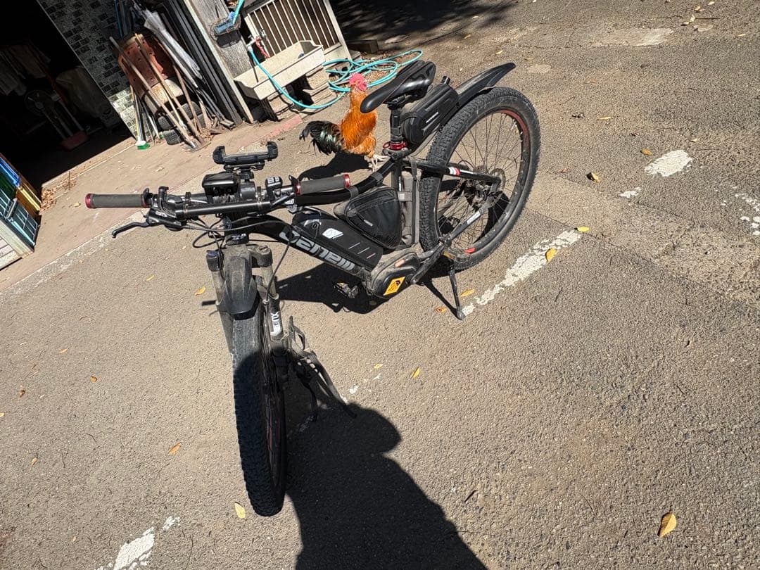 電動自転車　　アシスト自転車